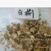 批發供應優質 白榆種子 量大優惠