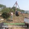 綠化苗木批發 國槐樹苗 9-17公分規格齊全 質優價廉