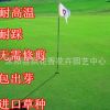 批發草坪種子 耐熱耐旱耐寒 高羊茅 護坡 草種 綠化
