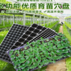 育苗盤 穴盤種植芽苗菜托盤 多肉箱 營養缽 加厚蔬菜可端200孔穴