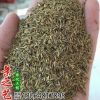 優(yōu)質(zhì)大葉蒲公英種子野菜婆婆丁種子黃秋葵種子藥材種子