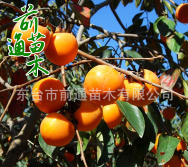 QQ截圖20180829153434