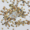 批發優質牧草種子 精品紅豆草種子綠植花卉種子 品種齊全
