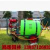 本田GX160手推式打藥機160升國產高壓農用汽油動力噴霧機器打藥車