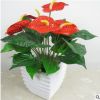 室內(nèi)高檔花卉盆栽 紅掌 盆景植物 四季常青