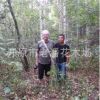 老潘花木場為您提供優(yōu)質(zhì)的白樺樹桿 白樺樹皮 白樺附屬產(chǎn)品