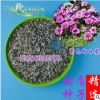 批發(fā)2018年新種子紫色向日葵觀賞盆花切花庭院美化淳樸自然包郵