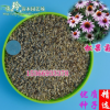批發(fā)2018年新種子松果菊種子綠化盆栽花境紫錐花種子紫錐菊包郵