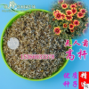 批發(fā)2018年新種子高桿天人菊種子綠化芳香花卉耐風(fēng)虎皮菊種子包郵