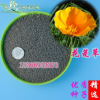 批發(fā)2018年新種子花菱草種子草花種子金英花種子人參花貨到付款