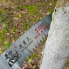 臺(tái)灣正品老農(nóng)夫S330彎鋸 整枝鋸 修枝鋸 手鋸 園藝鋸 園林工具