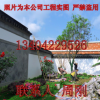蘇州桂花樹價格、大型精品桂花樹、光福苗圃基地、綠化苗木種植
