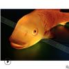 樹脂創意造型景觀魚燈 小品雕塑戶外公園亮化照明LED裝飾富貴魚燈
