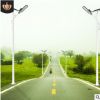 廠家直銷道路照明6米太陽(yáng)能路燈 30W新農(nóng)村戶外照明太陽(yáng)能LED路燈