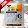 花木花卉生根粉 強(qiáng)力生根壯苗劑 助扦插苗子生長(zhǎng) 花肥營(yíng)養(yǎng)肥