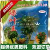 花卉綠葉王肥料橡皮樹發(fā)財(cái)樹龜背竹巴西木文竹綠蘿200克