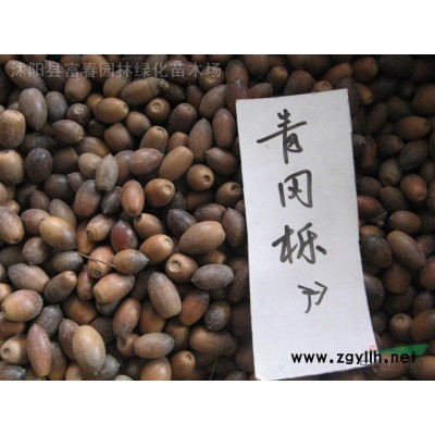 廠家制作仿真植物綠雕工藝品仿真人物 雕塑仿真園林雕塑