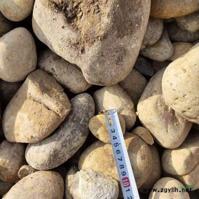 杭州景觀石基地直銷太湖石 點石 窟窿石 T69