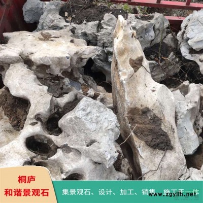泰山石 點綴造景石 風景石 日式枯山水