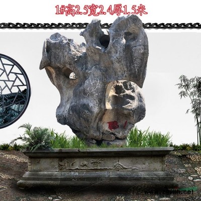 浙江景觀石園林石 泰山石點(diǎn)石奇石風(fēng)景石 TZ22