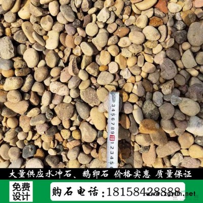 杭州天然景觀石園林風景石刻字石九龍玉點石 C101