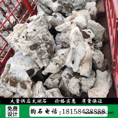 點綴駁岸水沖石 大型鵝卵石 風景石