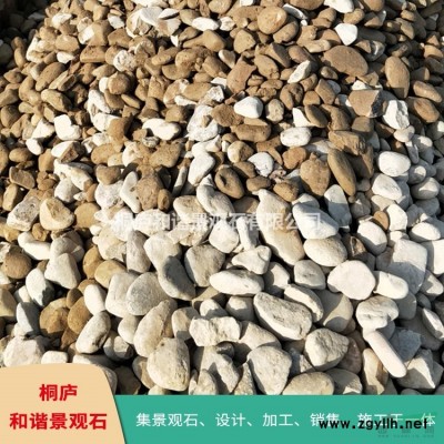 園林景觀石 太湖石點(diǎn)石自然石奇石 T126