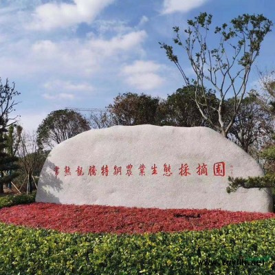浙江直銷園林石水沖石自然石