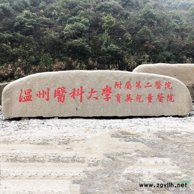 優質天然景觀石太湖石窟窿石