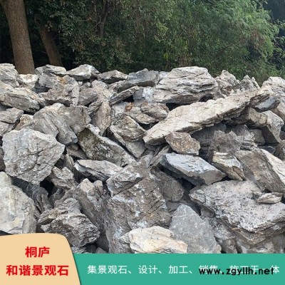 杭州天然景觀石風景園林英石假山石原石奇石
