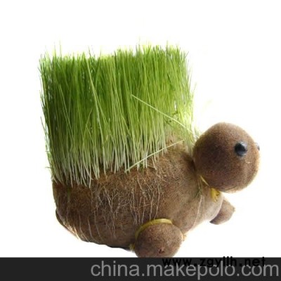 草娃娃，動(dòng)物，烏龜，工藝品，園藝， KA