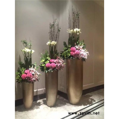 室內(nèi)花木租賃-武漢市眾芳園藝(圖)