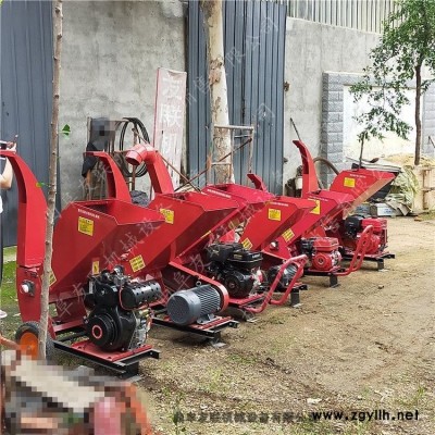 汽油果園林業(yè)樹(shù)枝粉碎機(jī)秸稈枝條粉碎機(jī)園林綠化枝條碎枝機(jī)