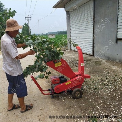 廠家直銷可移動(dòng)型樹枝粉碎機(jī)  汽油電啟動(dòng)碎枝機(jī) 家用小型木材粉碎機(jī)