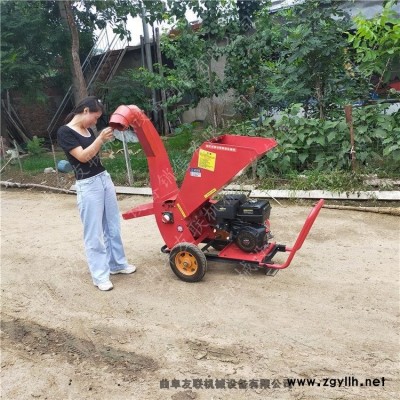 戶外多功能樹(shù)枝粉碎機(jī) 手推汽油柴油碎枝機(jī) 大馬力果園農(nóng)場(chǎng)碎木機(jī)