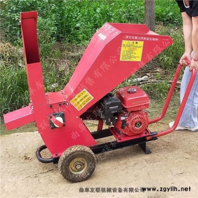 枝條樹(shù)枝粉碎機(jī)果木枝條破碎機(jī)價(jià)格 殘枝專(zhuān)用樹(shù)杈碎枝機(jī)