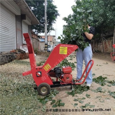 環(huán)保型電動手推款干鮮枝條粉碎機 果園修剪雜枝粉碎還田機 樹枝削片機5