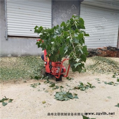 家用玉米秸稈粉碎機(jī) 小型柴油樹(shù)枝粉碎機(jī) 公路養(yǎng)護(hù)園林綠化碎枝機(jī)