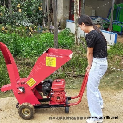 移動式濕樹杈粉碎機 社區雜樹枝打碎機 環保型電動低噪音枝條碎枝機4