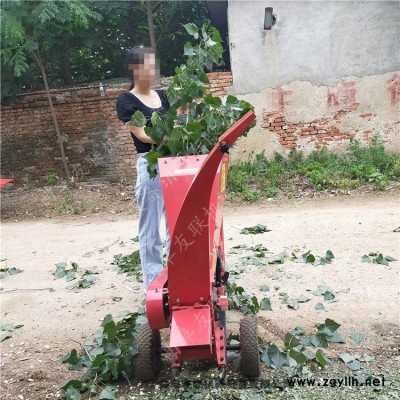 園林養(yǎng)護(hù)自動(dòng)進(jìn)料樹(shù)枝粉碎還田機(jī) 干枯樹(shù)干樹(shù)枝粉碎機(jī) 2020款移動(dòng)式碎枝機(jī)4