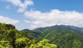廣東啟動(dòng)新一輪林草濕調(diào)查監(jiān)測(cè)