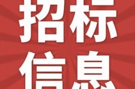 廣東省博羅縣文明城市創(chuàng)建實施五項市政項目—縣城公園廣場苗木補植、健身器材安裝及其他零星維修工程競...